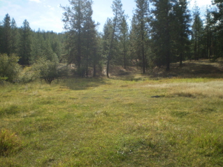 A trail is found on the east side of the meadow behind the gate, Mt Keogan 2011-10.